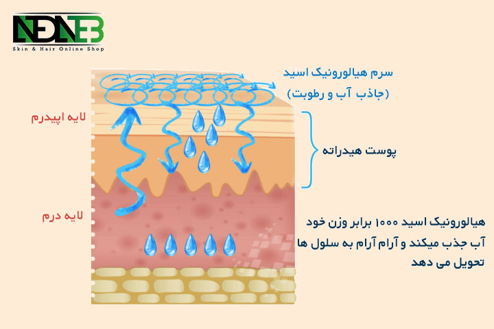 عملکرد آبرسان چگونه است چه تفاوتی با مرطوب کننده دارد